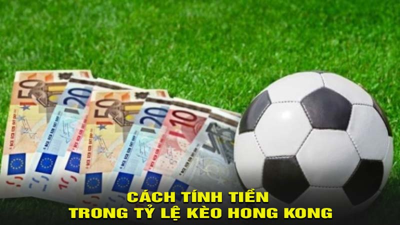 Cách tính tiền trong tỷ lệ kèo Hong Kong